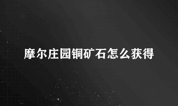 摩尔庄园铜矿石怎么获得