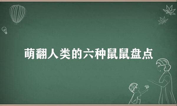 萌翻人类的六种鼠鼠盘点