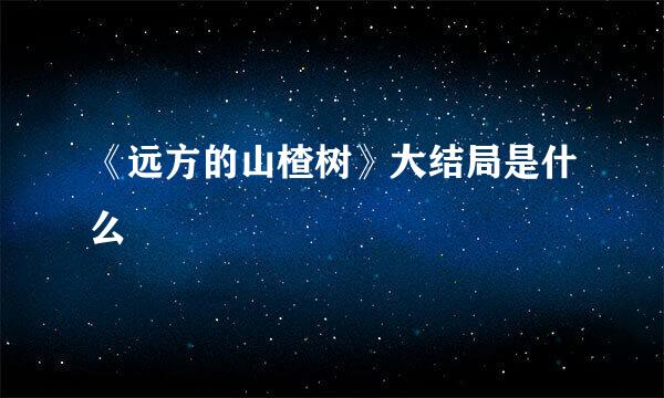 《远方的山楂树》大结局是什么