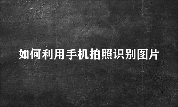 如何利用手机拍照识别图片