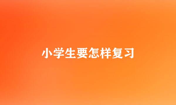 小学生要怎样复习