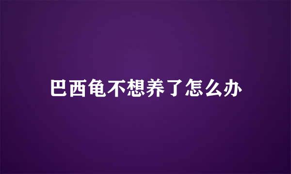 巴西龟不想养了怎么办