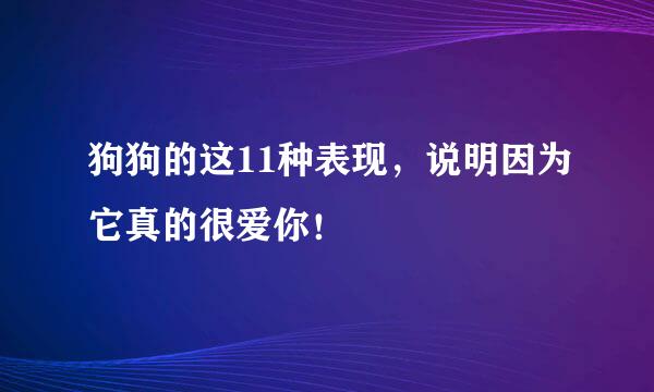 狗狗的这11种表现，说明因为它真的很爱你！