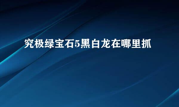 究极绿宝石5黑白龙在哪里抓