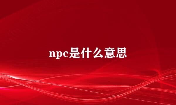 npc是什么意思
