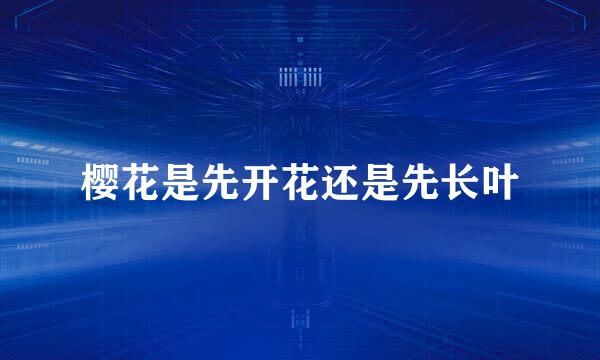 樱花是先开花还是先长叶