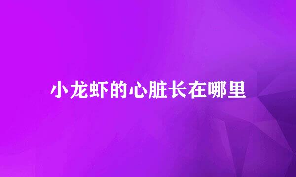 小龙虾的心脏长在哪里