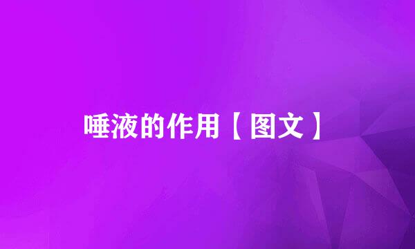 唾液的作用【图文】