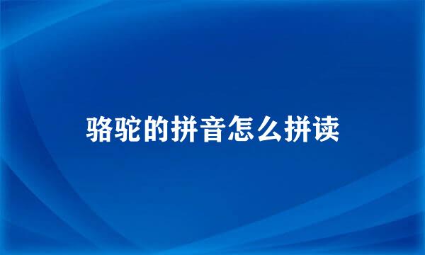 骆驼的拼音怎么拼读