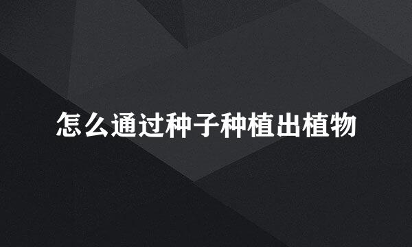 怎么通过种子种植出植物