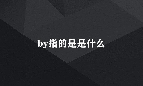 by指的是是什么