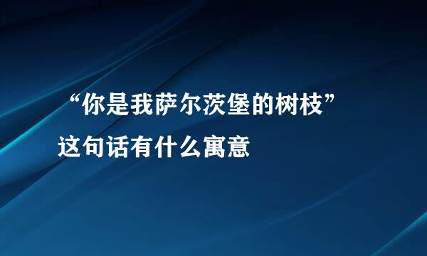 “你是我萨尔茨堡的树枝” 这句话有什么寓意