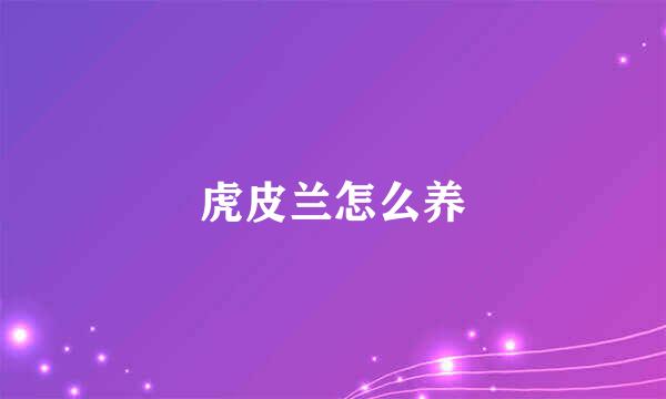虎皮兰怎么养