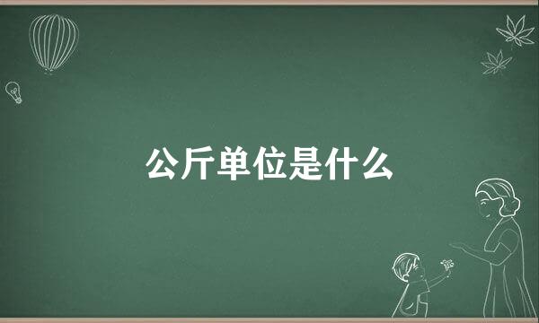 公斤单位是什么
