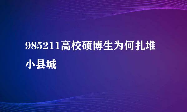 985211高校硕博生为何扎堆小县城