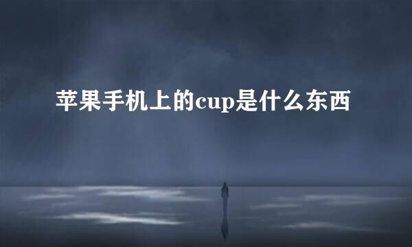 苹果手机上的cup是什么东西