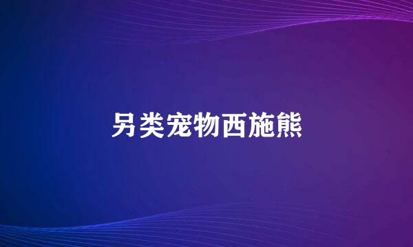 另类宠物西施熊