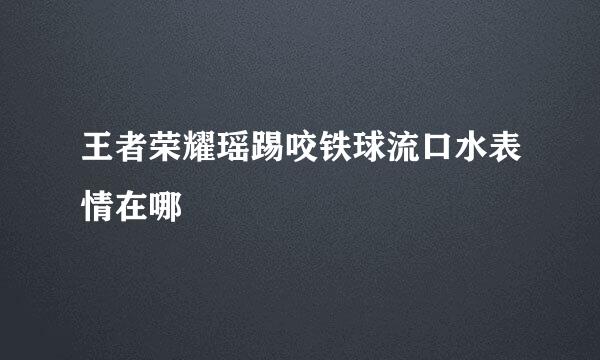 王者荣耀瑶踢咬铁球流口水表情在哪