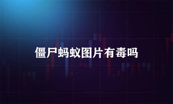 僵尸蚂蚁图片有毒吗