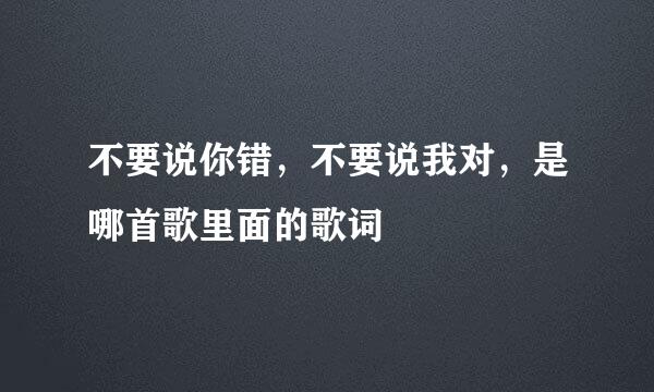 不要说你错，不要说我对，是哪首歌里面的歌词
