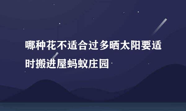 哪种花不适合过多晒太阳要适时搬进屋蚂蚁庄园