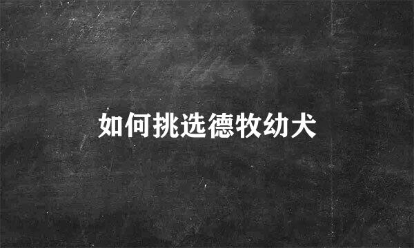 如何挑选德牧幼犬