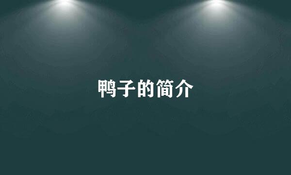 鸭子的简介