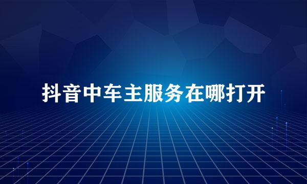 抖音中车主服务在哪打开