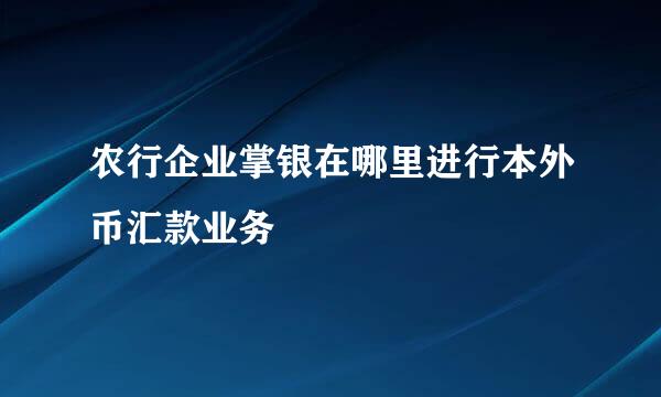 农行企业掌银在哪里进行本外币汇款业务