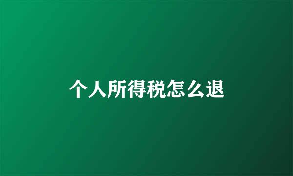 个人所得税怎么退