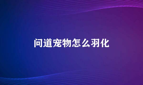 问道宠物怎么羽化