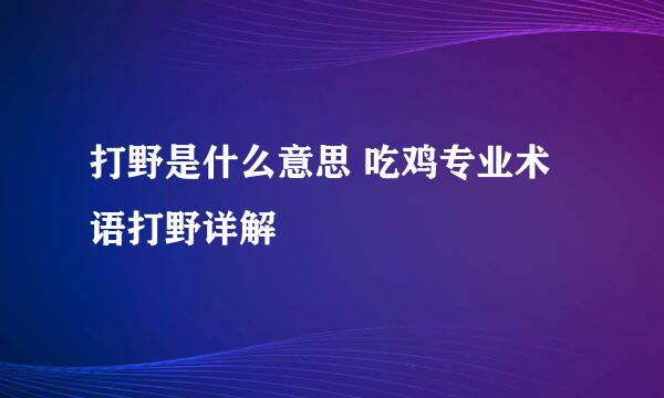 打野是什么意思 吃鸡专业术语打野详解