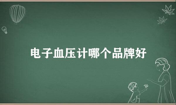 电子血压计哪个品牌好