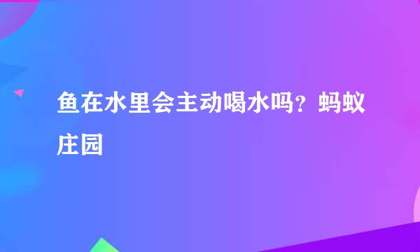 鱼在水里会主动喝水吗？蚂蚁庄园