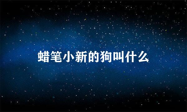 蜡笔小新的狗叫什么