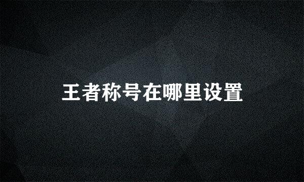 王者称号在哪里设置