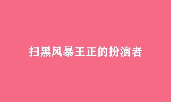 扫黑风暴王正的扮演者