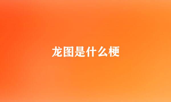 龙图是什么梗