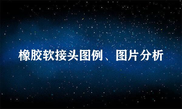 橡胶软接头图例、图片分析