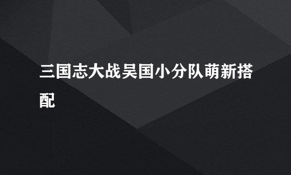 三国志大战吴国小分队萌新搭配