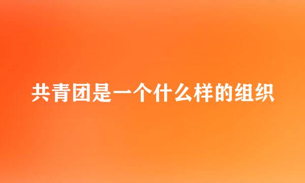 共青团是一个什么样的组织