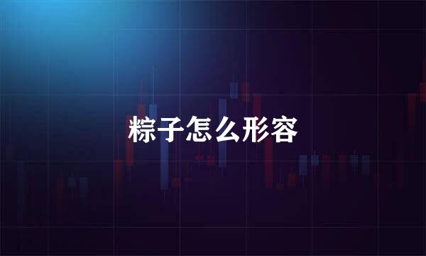 粽子怎么形容
