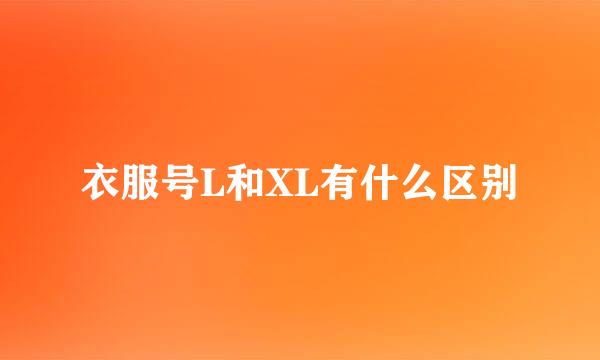 衣服号L和XL有什么区别