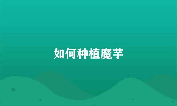 如何种植魔芋
