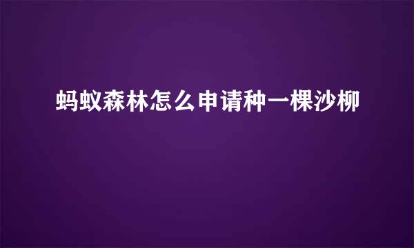 蚂蚁森林怎么申请种一棵沙柳