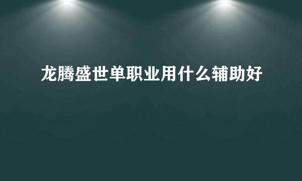 龙腾盛世单职业用什么辅助好