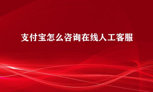 支付宝怎么咨询在线人工客服