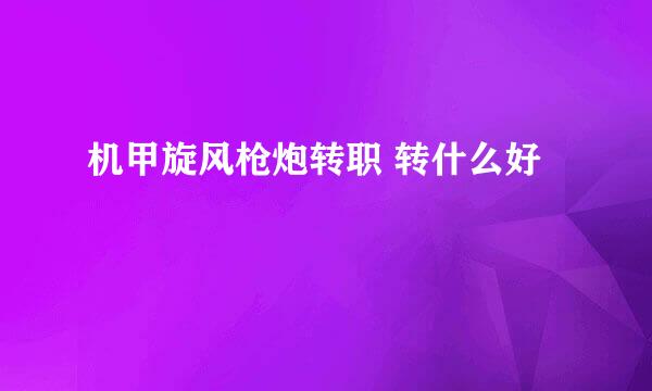 机甲旋风枪炮转职 转什么好