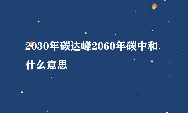 2030年碳达峰2060年碳中和什么意思