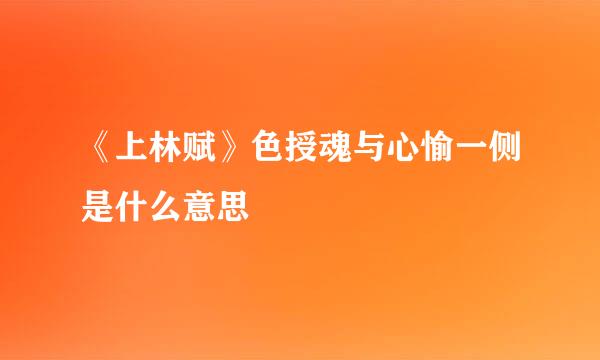 《上林赋》色授魂与心愉一侧是什么意思